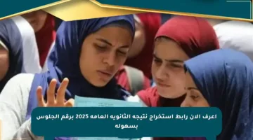 اعرف الآن رابط استخراج نتيجة الثانوية العامة 2025 برقم الجلوس بسهولة